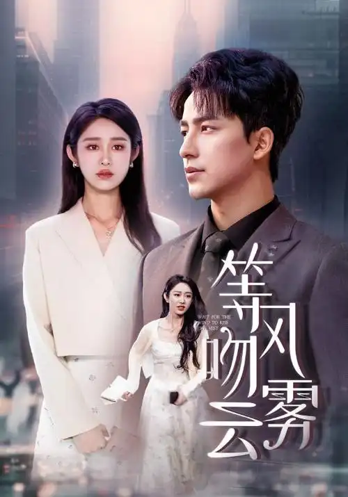 锦绣长安 电视剧 2026