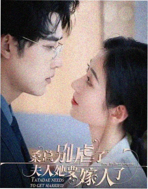 雾港谜案 刑侦电视剧全集免费在线观看